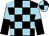 BODY CORNFLOWER BLUE, BLACK CHECKED, SLEEVES CORNFLOWER BLUE, BLACK HALVED (HORIZONTALLY), CAP CORNFLOWER BLUE, BLACK QUARTERED