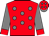 BODY DARK RED, LIGHT GREY DIAMONDS, WHITE DIAMONDS, SLEEVES LIGHT GREY, DARK RED CUFFS, CAP LIGHT GREY, DARK RED DIAMONDS