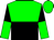 BODY FOREST GREEN, BLACK HALVED (HORIZONTALLY), SLEEVES BLACK, FOREST GREEN HALVED (HORIZONTALLY), CAP FOREST GREEN