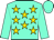 BODY AQUAMARINE, BEIGE STARS, SLEEVES AQUAMARINE, CAP AQUAMARINE