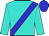BODY LIGHT SKY BLUE, BLUE SASH, SLEEVES LIGHT SKY BLUE, CAP BLUE