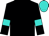 BODY BLACK, SLEEVES BLACK, DARK TURQUOISE ARMLET, CAP DARK TURQUOISE