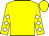 YELLOW, Multi-Colored State of Pennsylvania Logo, Yellow and White Diamond Bars on Blue Slvs